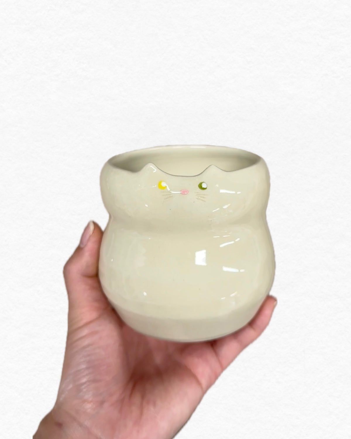 white cat heterochromia cup