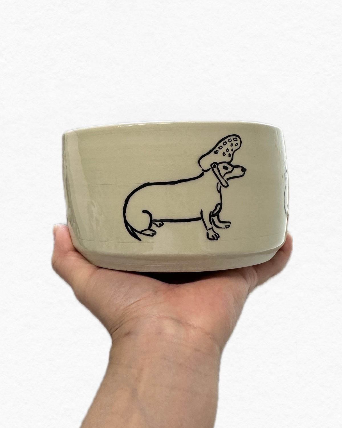 dachshund doodles - bowl